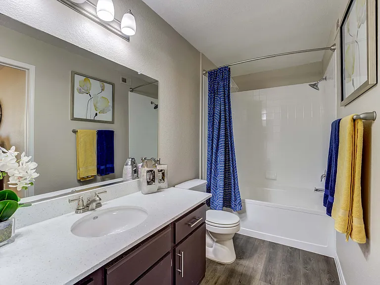 Ascent at Silverado Apartment Homes — Photo 10