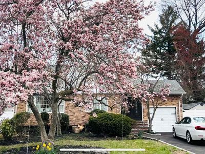 52 Miller Pl, Syosset, NY, 11791