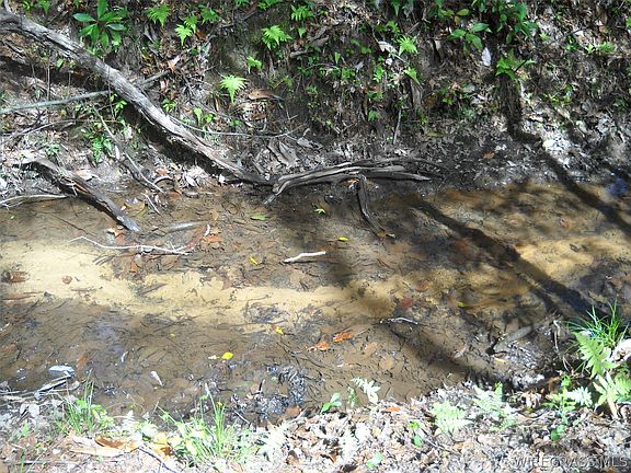 4th image of 900 Hopeful Church Rd