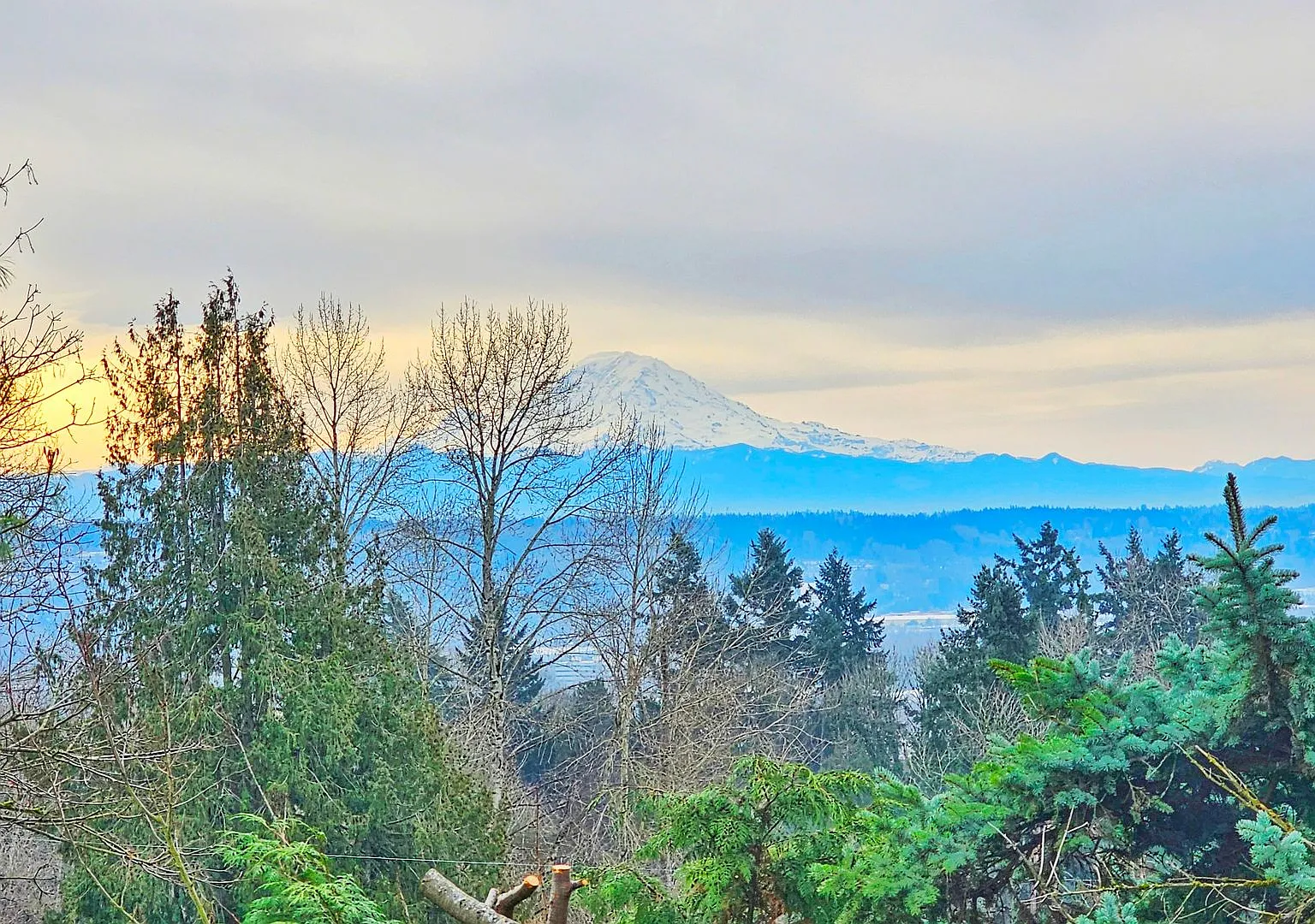 Charming 3 Bed 2.25 Bath Home in Skyway with a great view of Mt Rainier — Photo 4