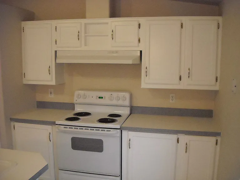 33171 Fuchsia Ln — Photo 16