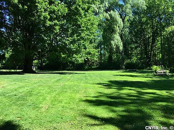 Backyard. Park-like backyard.  Backyard is fully fenced for safe play- kids and pets!  And yes, that s a sweet frog/coi pond to the right.