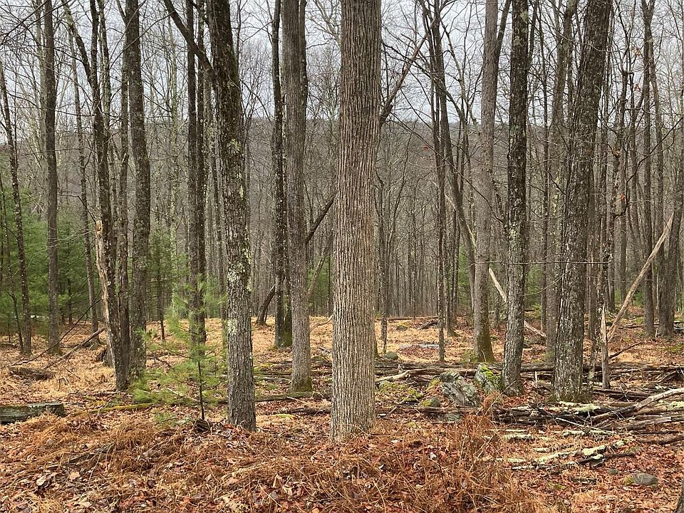 1st image of State Route 55