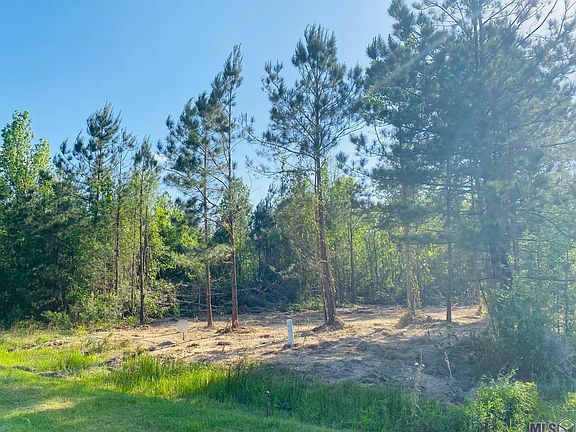 4th image of 34411 Quarter Horse Ln
