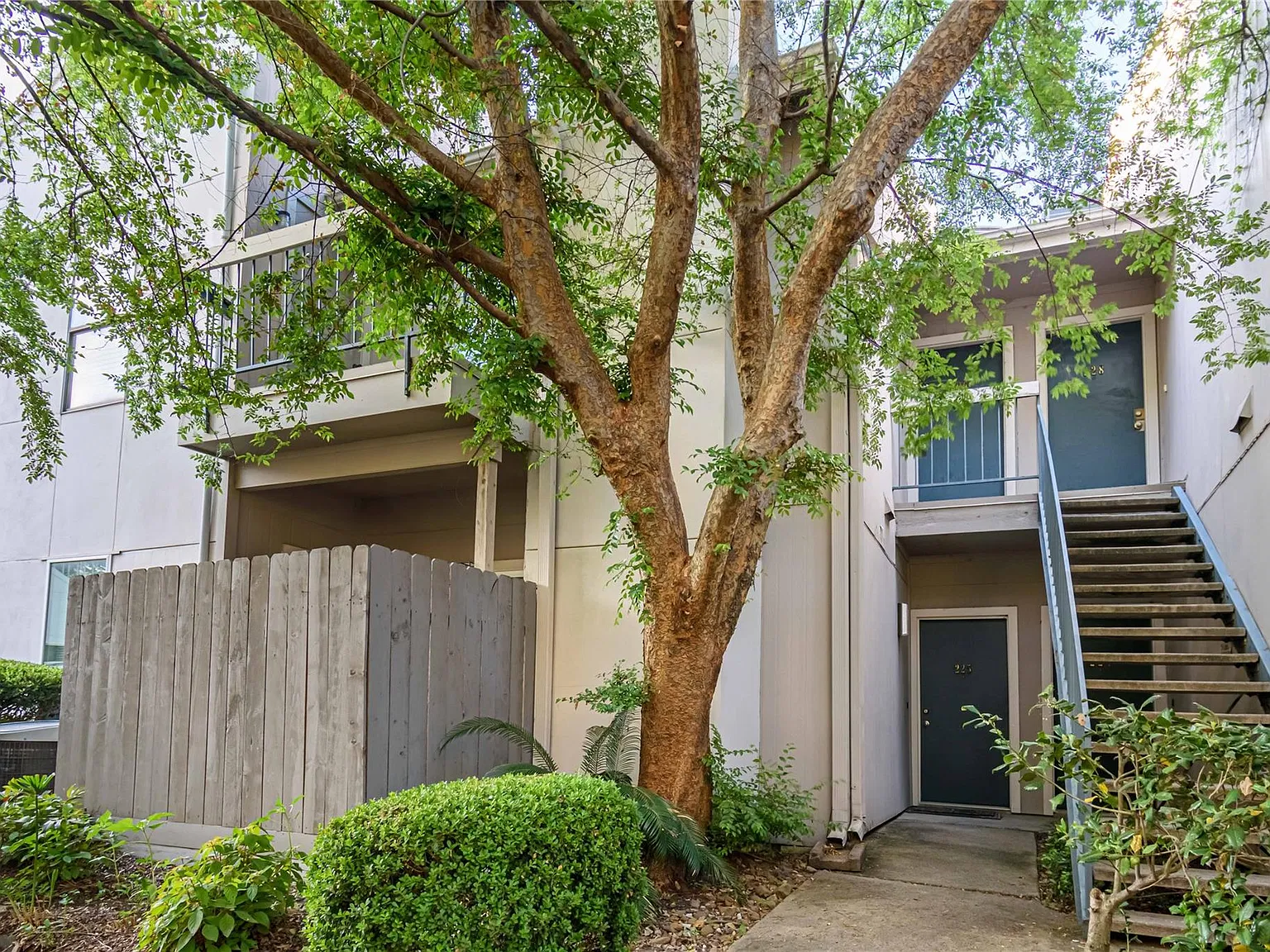 2 bed, 1.0 bath, 972 sqft, $1,600 — Photo 2