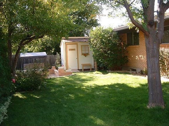 Back yard