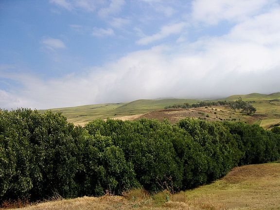 Surrounding views
