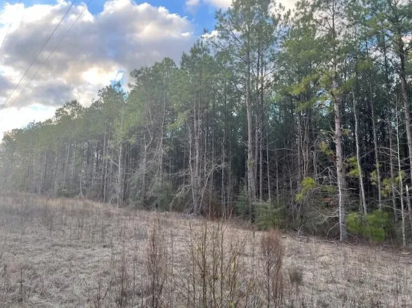 Nichols Rd, Leesville, LA 71446