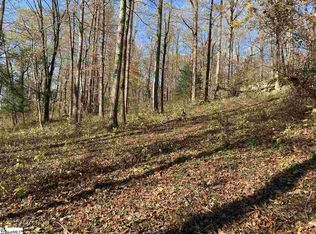 194 Catnip Trl, Landrum, SC 29356