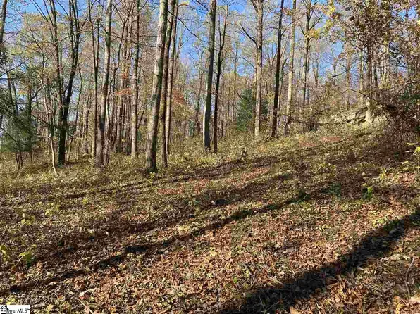 194 Catnip Trl, Landrum, SC 29356