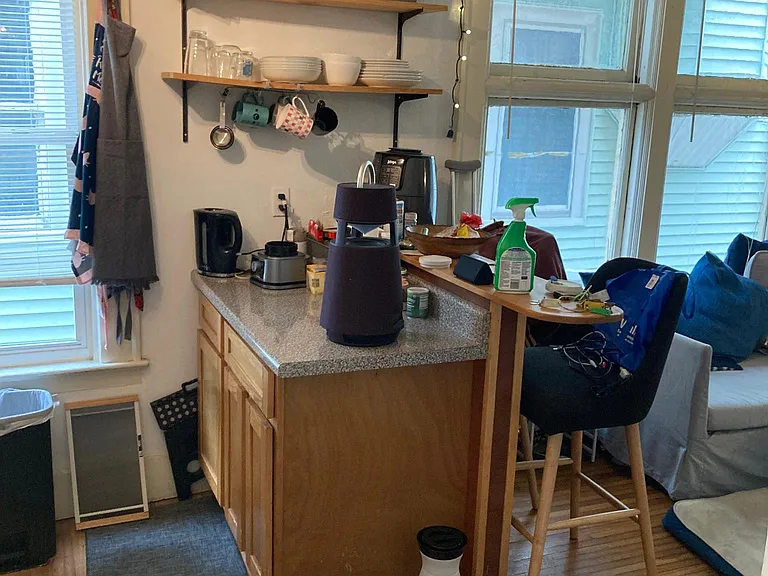 171 Norwood Ave #2 — Photo 3