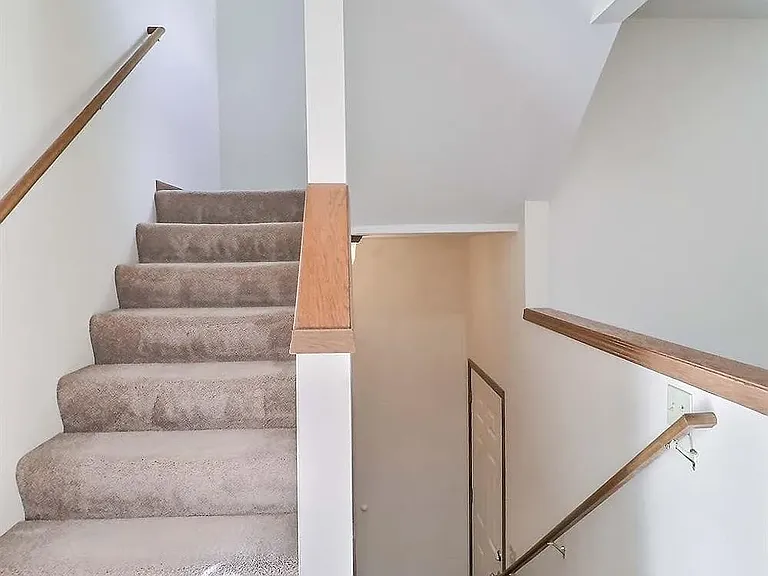 2314 Alan Dr — Photo 8