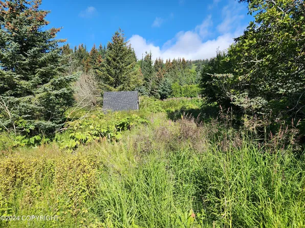 1780 Sterling Hwy, Homer, AK 99603