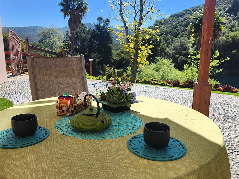 27245 Lotus Pond Ln #3 — Photo 8