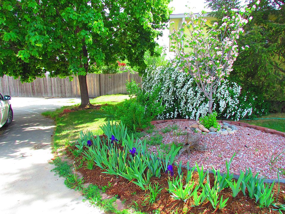 Front Garden Area
