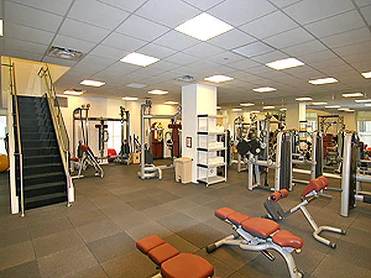 Rented by Corcoran | media 47