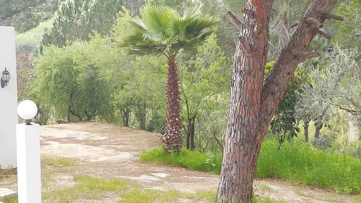 Rented by Best Apartments North Inc | media 22