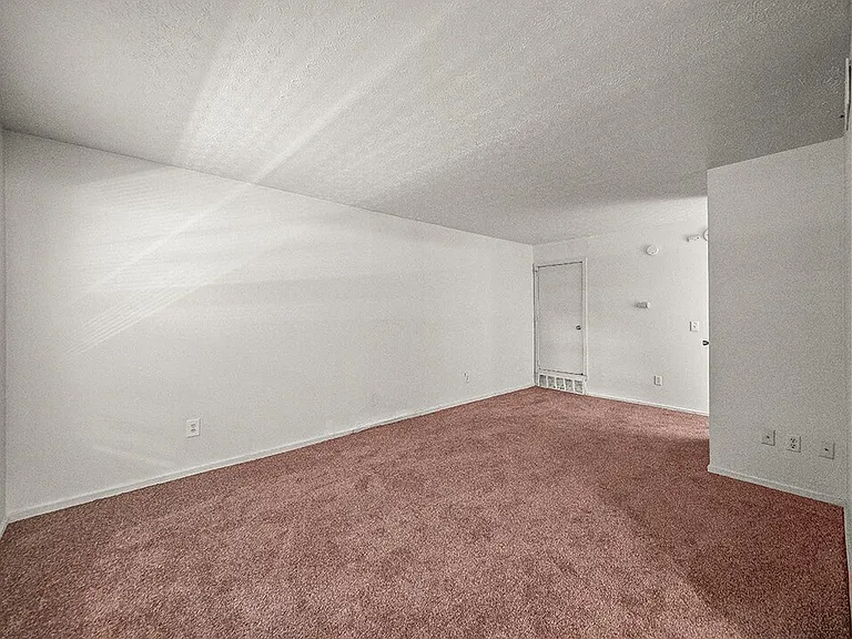 Cozy Carpeting