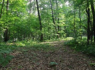 LOT 11 103rd St, Frederic, WI 54837