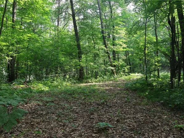 Lot 11 103rd Street, Frederic, WI 54837