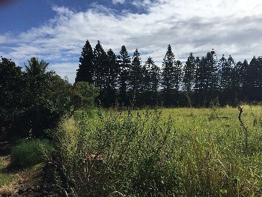 3rd image of 95-5783 Mamalahoa Hwy Lot 6