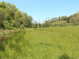 99999 Paint Fork Rd, Barnardsville, NC 28709