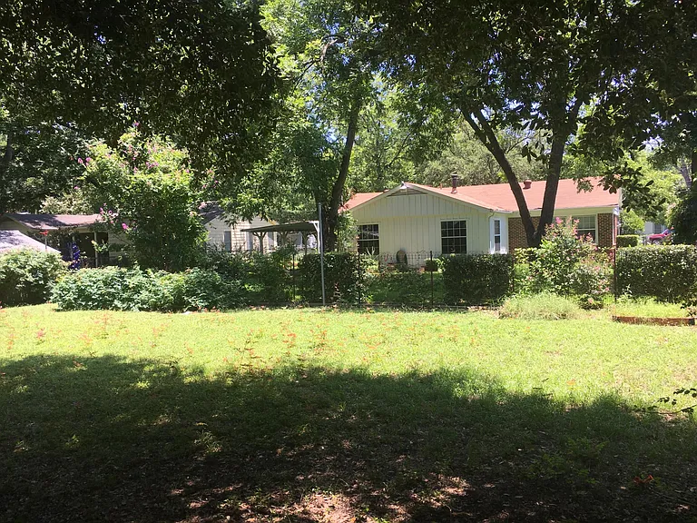 backyard 3