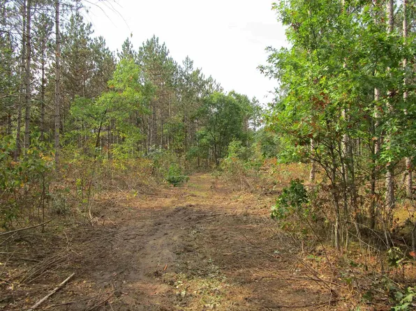 Lot 7 14th Drive #7, Adams, WI 53910