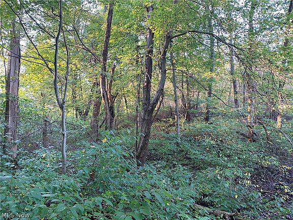 5th image of 167 Township Rd