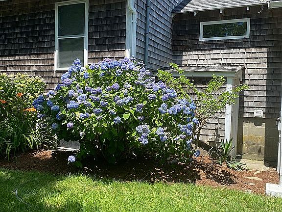 3rd image of 245 Greenwood Ave