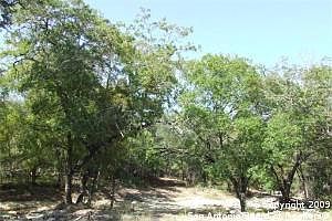 1st image of 8235 San Fidel Way