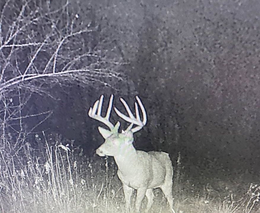 2nd image of Middle Rd
