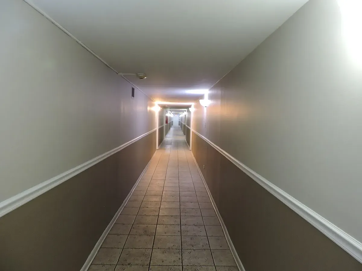 Walk in to the apartment - 703 E Fullerton Ave #110