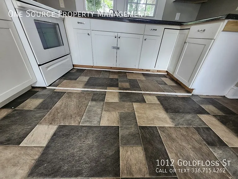 1012 Goldfloss St — Photo 14