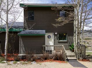 1221 Palmers Dr, Silverthorne, CO 80498