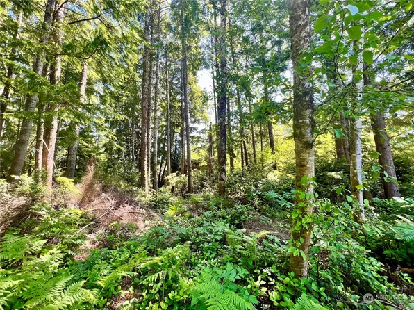28 xx 228th Street, Ocean Park, WA 98640