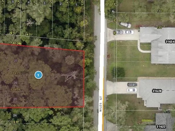 31633 Niles St, Sorrento, FL 32776