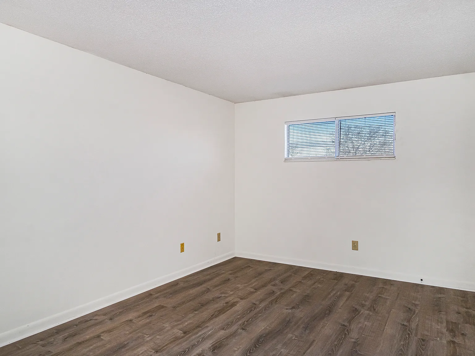 2 bed, 900 sqft, $995 — Photo 4
