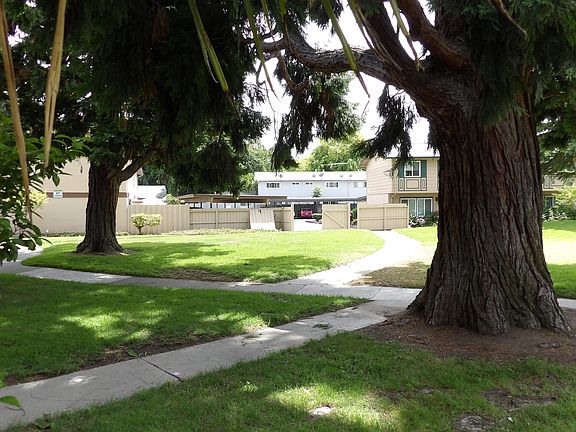 5th image of 2124 Amstel Ct