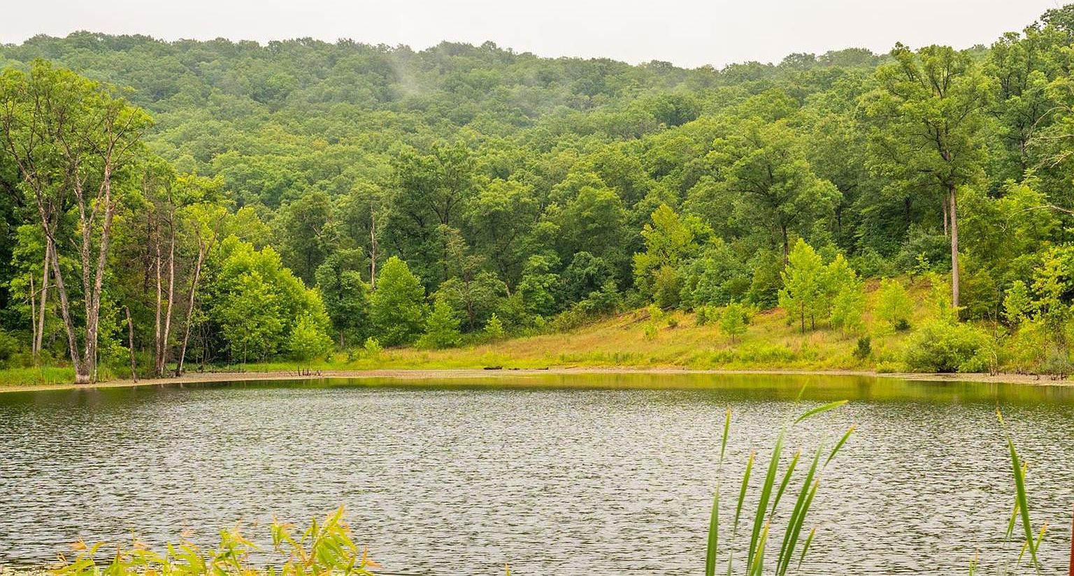 (Undisclosed Address), Rhineland, MO 65069 MLS 24025438 Zillow