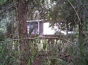1st image of 5811 N Suncoast Blvd