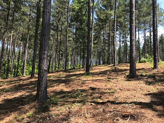 5th image of LOT 30 Highland Shores Mountain Vista Dr Lot 30