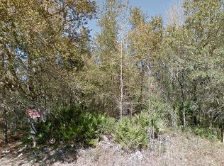 176 Clouds Ave, Interlachen, FL 32148