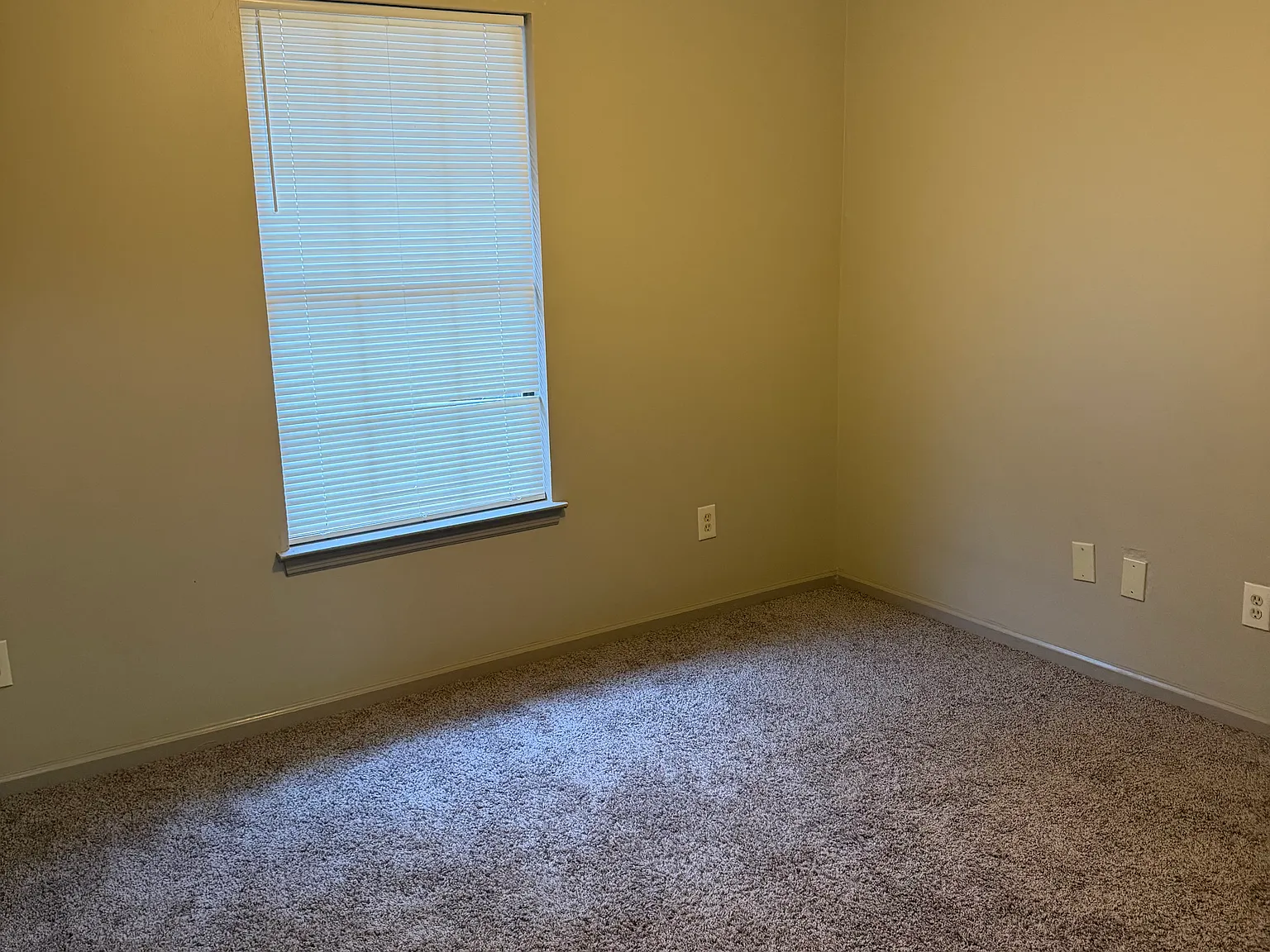 2 bed, 890 sqft, $950 — Photo 3