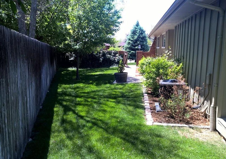 Back yard