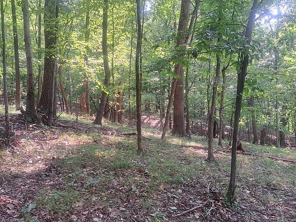 5th image of 0 Turkey Valley Rd