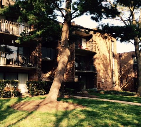 2nd image of 7804 Dassett Ct APT 102