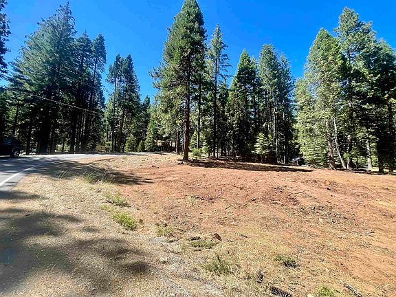 3rd image of 601 Deepforest Rd