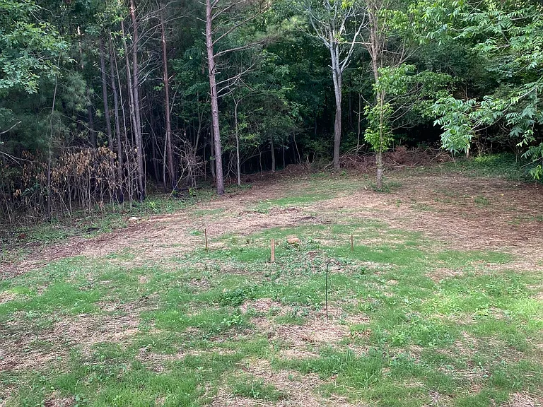 164 Glenn Carrie Rd — Photo 8