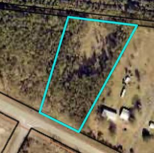0 State Highway 110, Waverly, GA, 31565